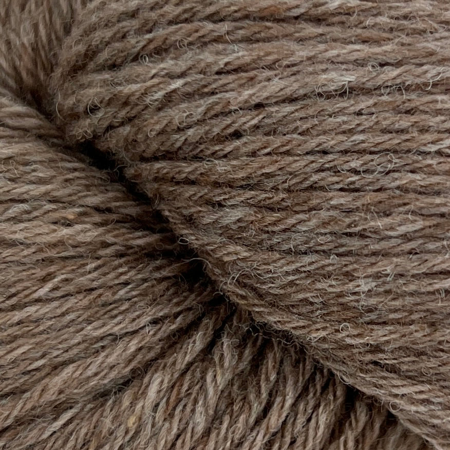 Luna - Mocha Mouse (43)