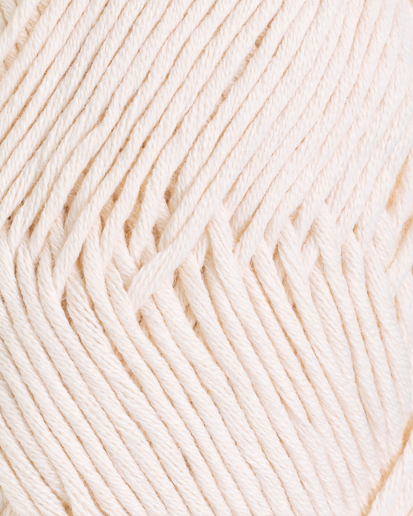 Petunia - Natur (219)