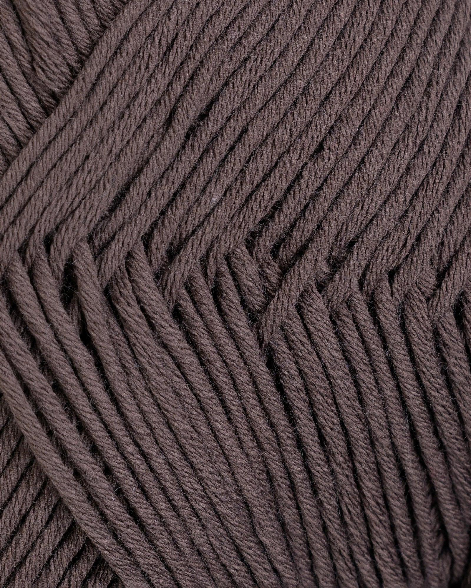 Petunia - Brun (236)