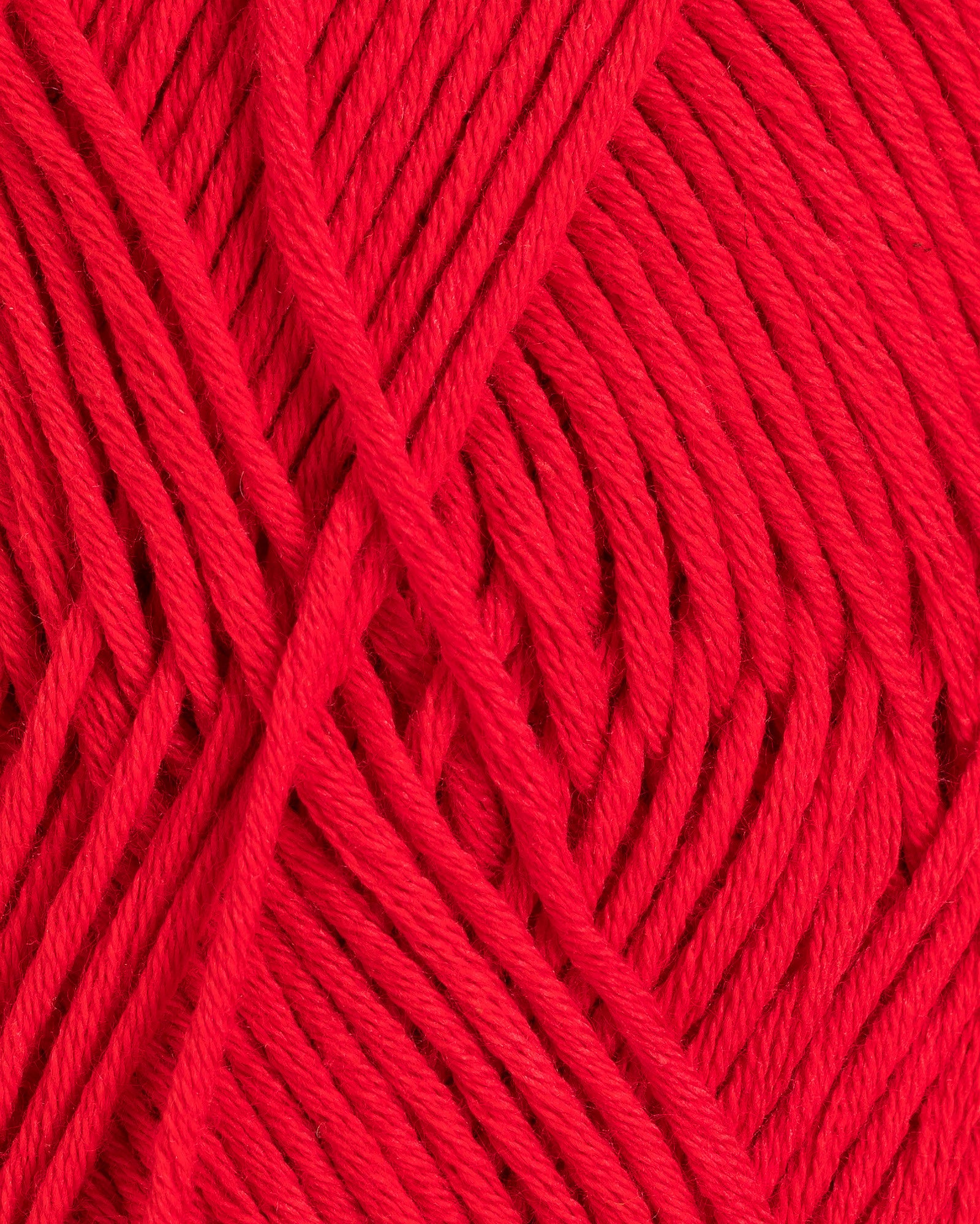 Petunia - Rød (256)