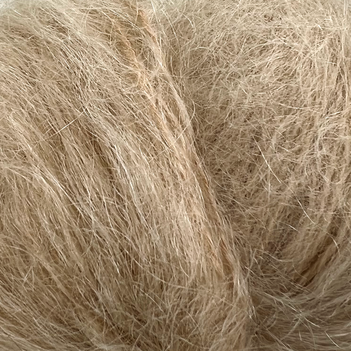 Bella - Lys camel (67)