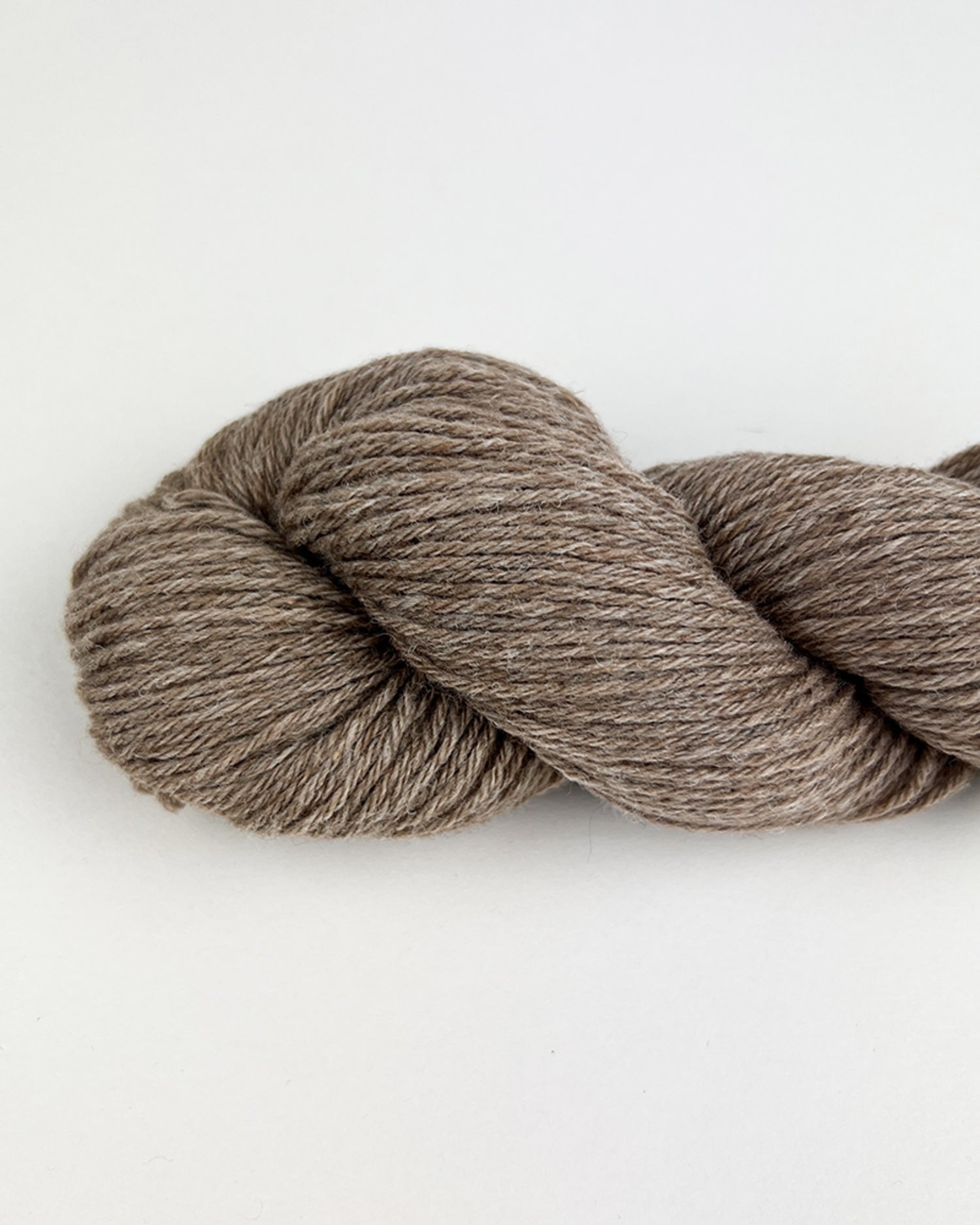 Luna - Mocha Mouse (43)